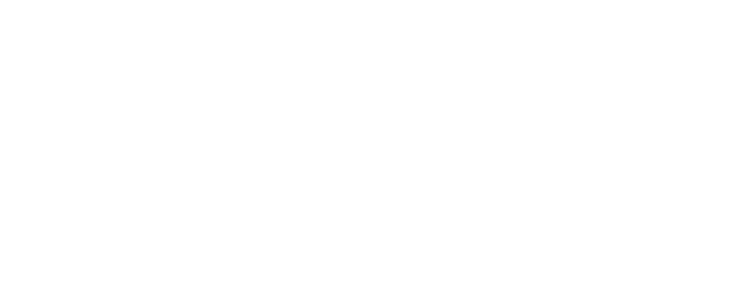 Team Aria Realtor